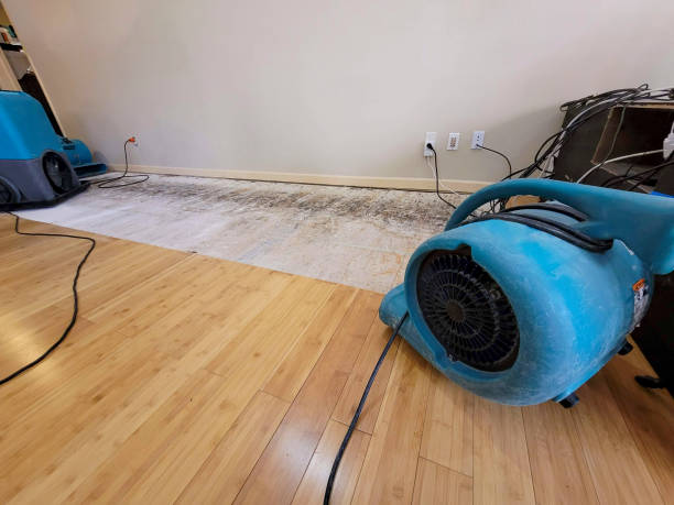 Professional Structural Drying technician working in Ellenwood, GA